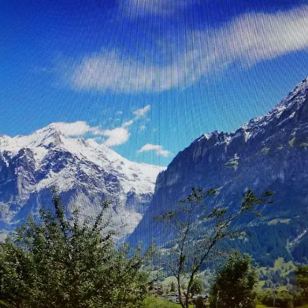 Chalet Nina Apartment Grindelwald